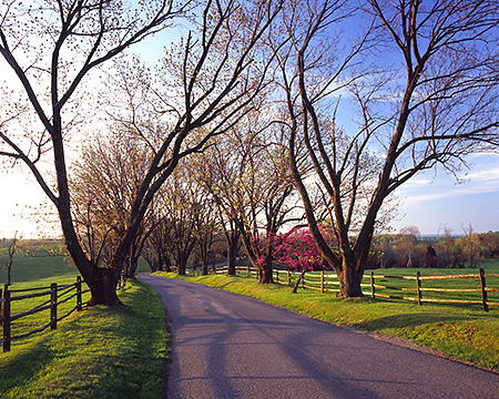 Ashlawn Highlands Road in Early Spring, Albemarle County, VA
